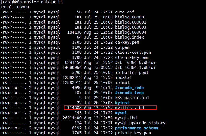 image-20240813125554365