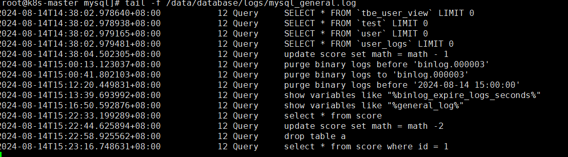 image-20240814152449897